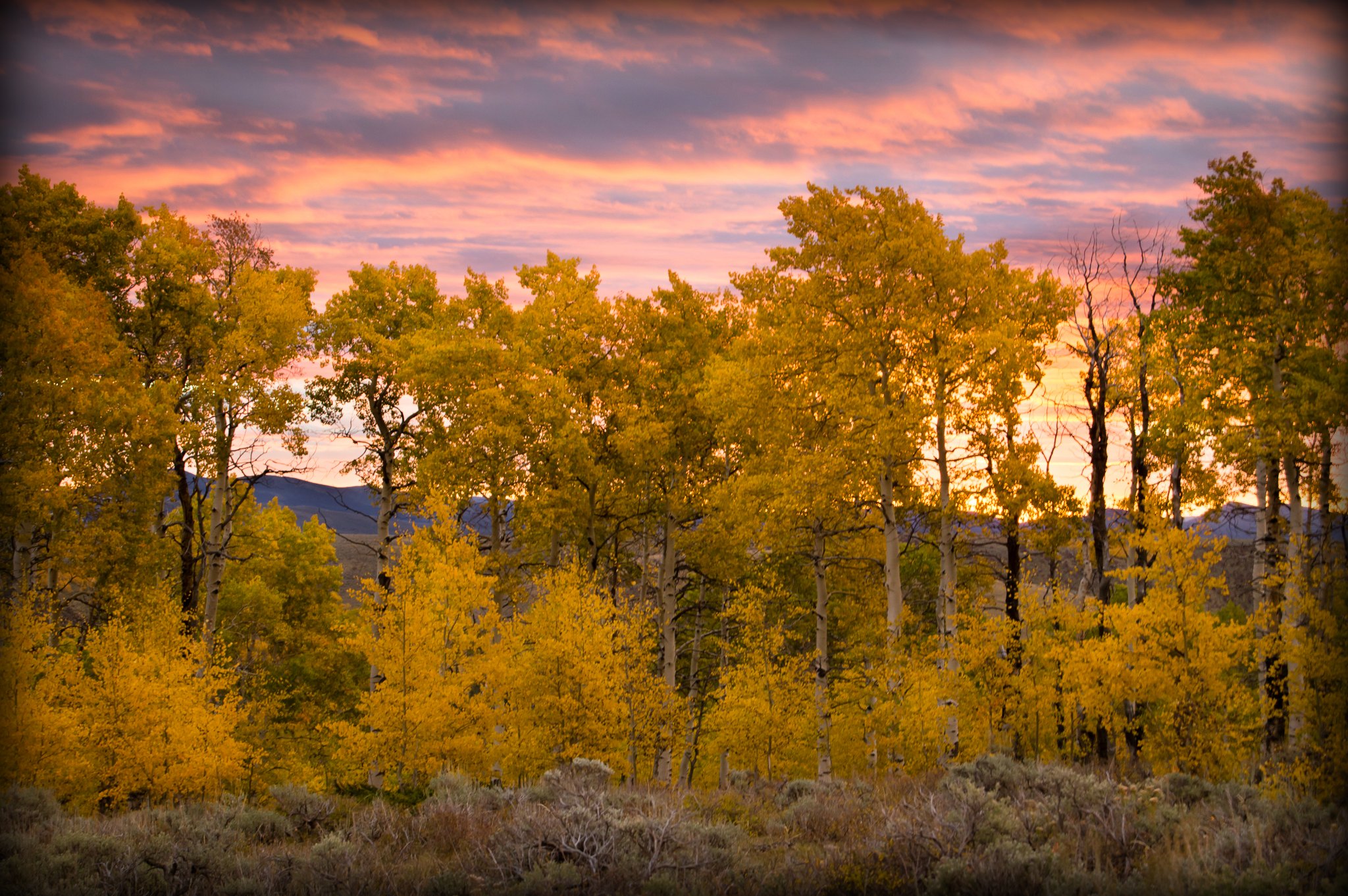 Colby Dalton Photography – Clinton, Utah
